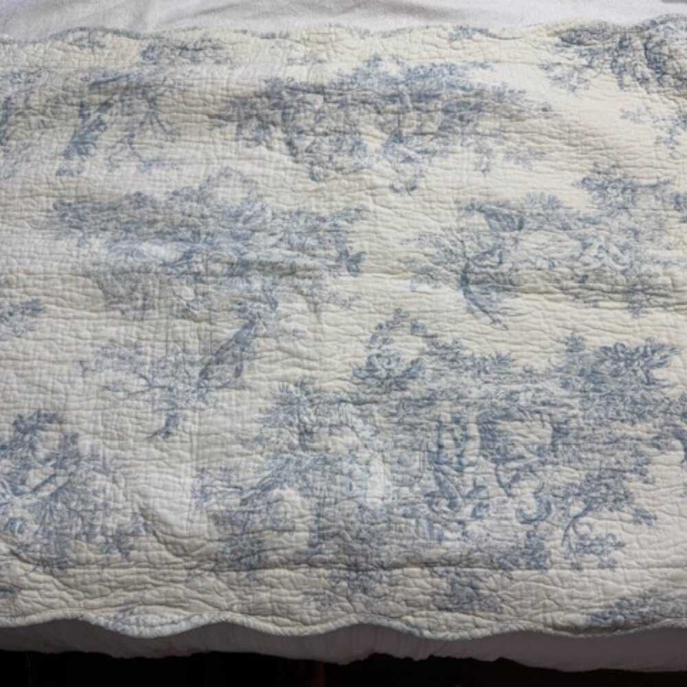 Beautiful Toile Duvet Cover Set with Lumbar Pillow
